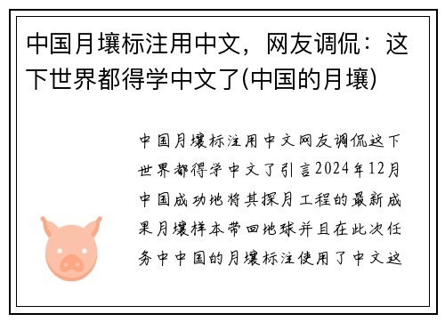 中国月壤标注用中文，网友调侃：这下世界都得学中文了(中国的月壤)