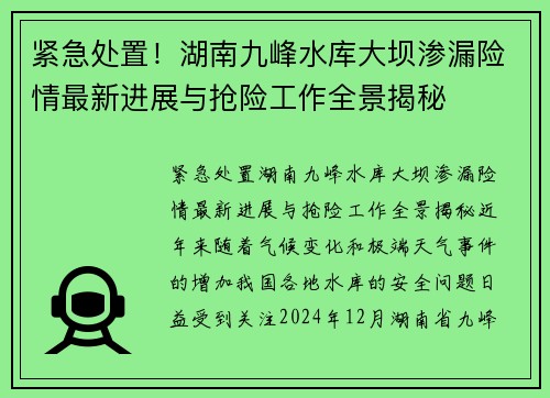 紧急处置！湖南九峰水库大坝渗漏险情最新进展与抢险工作全景揭秘
