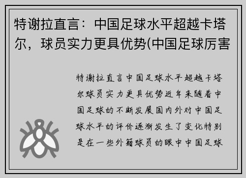 特谢拉直言：中国足球水平超越卡塔尔，球员实力更具优势(中国足球厉害)