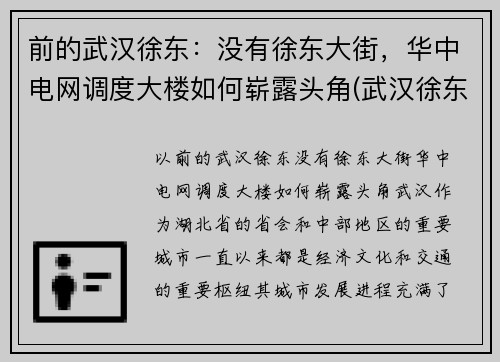前的武汉徐东：没有徐东大街，华中电网调度大楼如何崭露头角(武汉徐东变电站)
